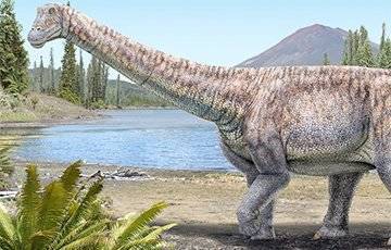 «Кости Атакамы»: в Чили открыли новый вид титанозавра