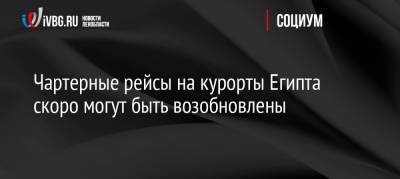 Чартерные рейсы на курорты Египта скоро могут быть возобновлены