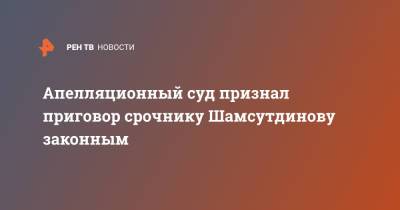 Рамиль Шамсутдинов - Апелляционный суд признал приговор срочнику Шамсутдинову законным - ren.tv