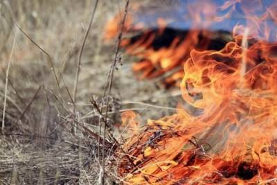 С 30 апреля в Ивановской области начнет действовать особый противопожарный режим