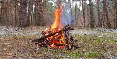 Чеховцам напомнили об осторожности с обращением с огнем на отдыхе в лесу