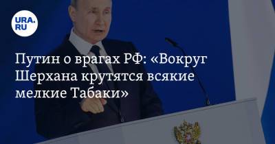 Путин о врагах РФ: «Вокруг Шерхана крутятся всякие мелкие Табаки»