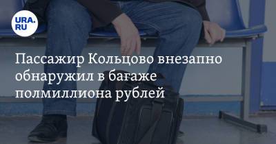 Пассажир Кольцово внезапно обнаружил в багаже полмиллиона рублей