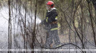 В Гомельской области снизилось количество пожаров в экосистемах
