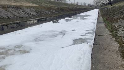 Экологи установили источник появления пены в реке Волковка