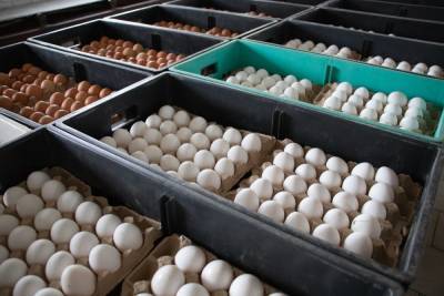 В Тамбове к Пасхе можно будет купить яйца по сниженной цене