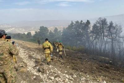 В Дагестане вторые сутки горит лес