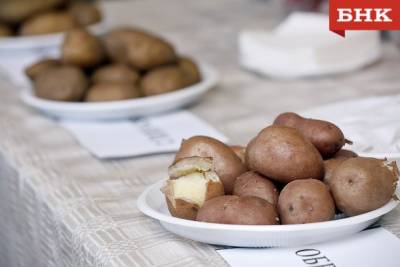 В Коми собираются перезапустить картофелеводство