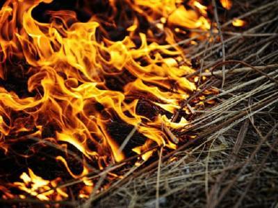 Жгла сухую траву: на Южном Урале пенсионерка погибла во время пожара в саду