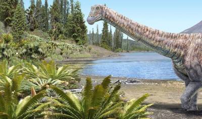 Обнаружили новый вид титанозавров: они достигали в длину 8 метров (ВИДЕО)