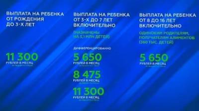 Пять выплат, которые будут произведены в этом году по поручению Путина
