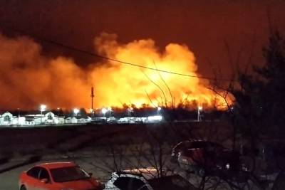 Из-за пала травы в Костромской области сгорели пять дач