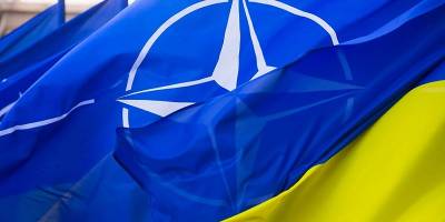 Опрос показал, что почти две трети украинцев поддерживают вступление Украины в НАТО - видео - ТЕЛЕГРАФ