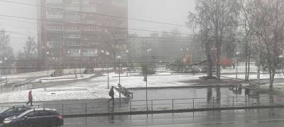 Непогода сорвала субботник чиновникам администрации Петрозаводска