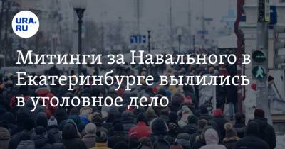 Митинги за Навального в Екатеринбурге вылились в уголовное дело