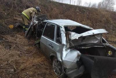 В Рязанской области «Жигули» попали под поезд, водитель погиб