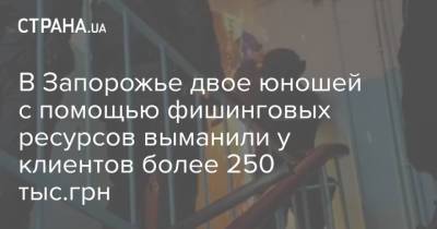 В Запорожье двое юношей с помощью фишинговых ресурсов выманили у клиентов более 250 тыс.грн - strana.ua - Запорожье