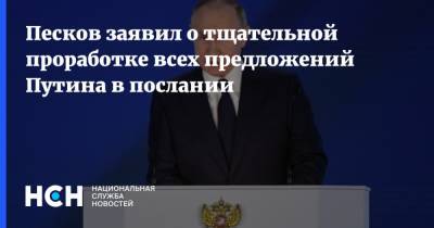 Песков заявил о тщательной проработке всех предложений Путина в послании