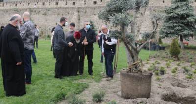 Патриарх Грузии посадил во дворе Светицховели оливковое дерево