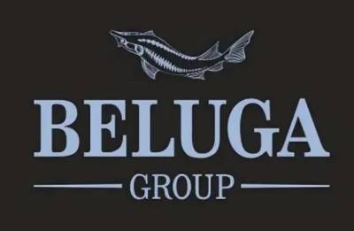 Beluga Group планирует удвоить бизнес в течение 4 лет - глава компании