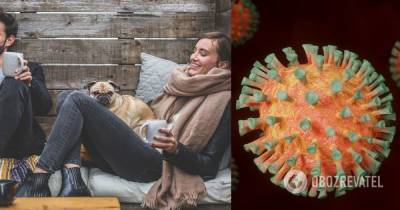 Собаки и кошки - ученые нашли возможный источник распространения британского коронавируса
