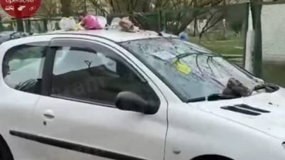 Насыпали мусор и разбили стекло: в Киеве наказали "героя" парковки – видео