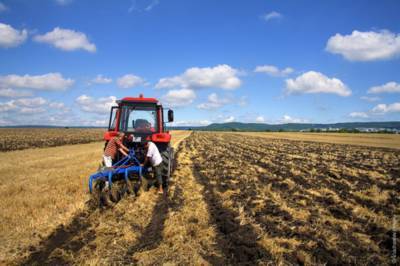 Правительство согласовало отмену нормы об обязательных 2 гектарах земли каждому украинцу