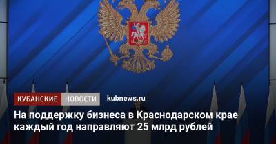 На поддержку бизнеса в Краснодарском крае каждый год направляют 25 млрд рублей