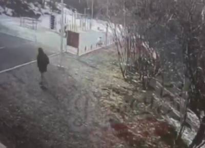 Неадекватный мужчина в Мурманске напал на девочек во дворе гимназии