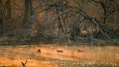 Ярко-желтая река перепугала жителей в Приморье