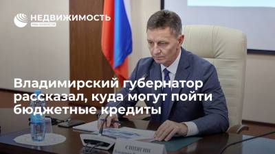 Владимирский губернатор рассказал, куда могут пойти бюджетные кредиты