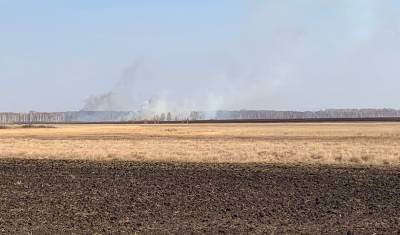 Больше 200 пожаров зафиксировано в Тюменской области из-за сухой травы