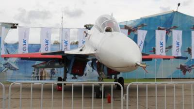 Эксперты назвали причину крушения истребителя Су-30СМ в Казахстане