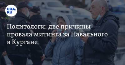Политологи: две причины провала митинга за Навального в Кургане