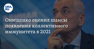 Онищенко оценил шансы появления коллективного иммунитета в 2021