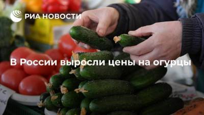 В России выросли цены на огурцы