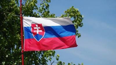 Словакия обеспокоена наращиванием российских войск на границах с Украиной