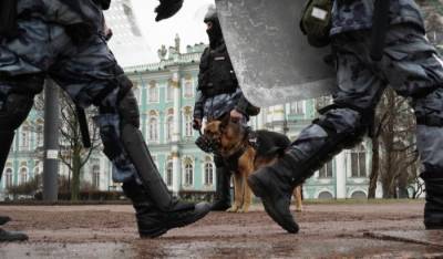 Несанкционированные акции прошли в городах Северо-Запада РФ