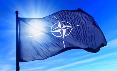 Члены НАТО не готовы к глобальной войне с Россией, – Эйдман