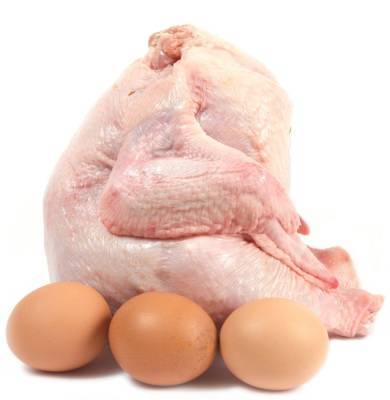 В России снизилось производство куриных яиц