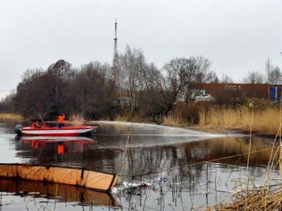 Бухту «Радуга» в Финском заливе начали очищать от нефтепродуктов