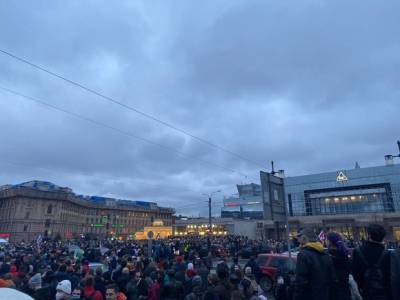 На митинге в Петербурге сбили с ног пенсионера (видео)