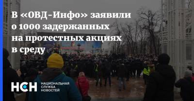 Алексей Навальный - В «ОВД-Инфо» заявили о 1000 задержанных на протестных акциях в среду - nsn.fm - Москва - Санкт-Петербург - Новосибирск - Иркутск - Омск - Владивосток