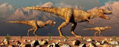 Ученые предположили, что тираннозавры охотились стаями, как волки