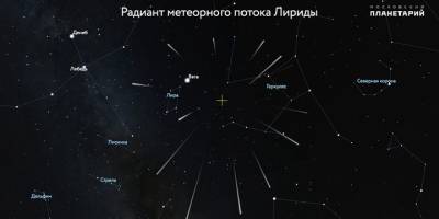 Астроном рассказала, увидят ли москвичи метеорный поток Лириды