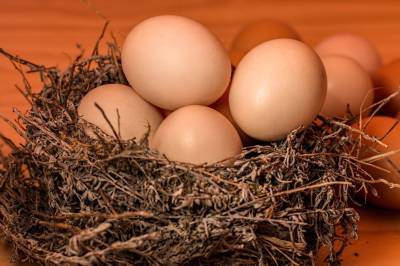 В Сахалинской области сократилось производство яиц