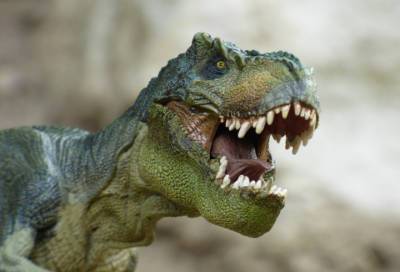 Ученые пытаются доказать, что тираннозавры не были "интровертами"