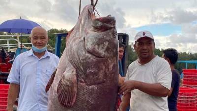 Малазийский рыбак поймал рыбу весом более 160 кг (фото)