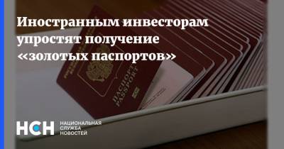 Иностранным инвесторам упростят получение «золотых паспортов» - nsn.fm