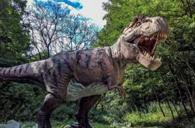 Ученые выяснили, сколько тираннозавров населяло Землю в древности